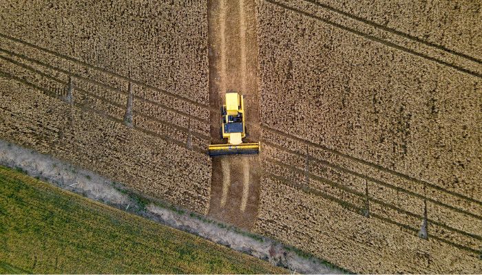  Paraná terá maior crescimento da produção agrícola entre estados do Sul e Sudeste em 2025